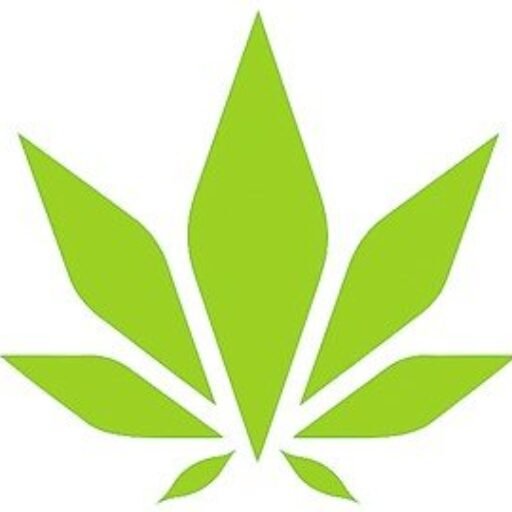 Budz Boutique Store